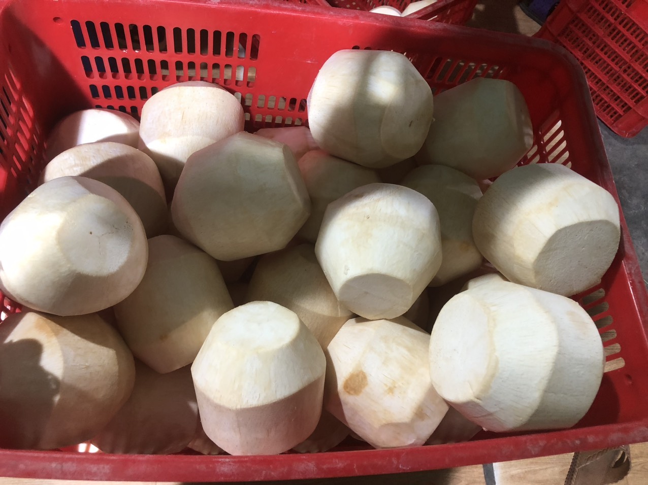 Dừa xiêm tươi