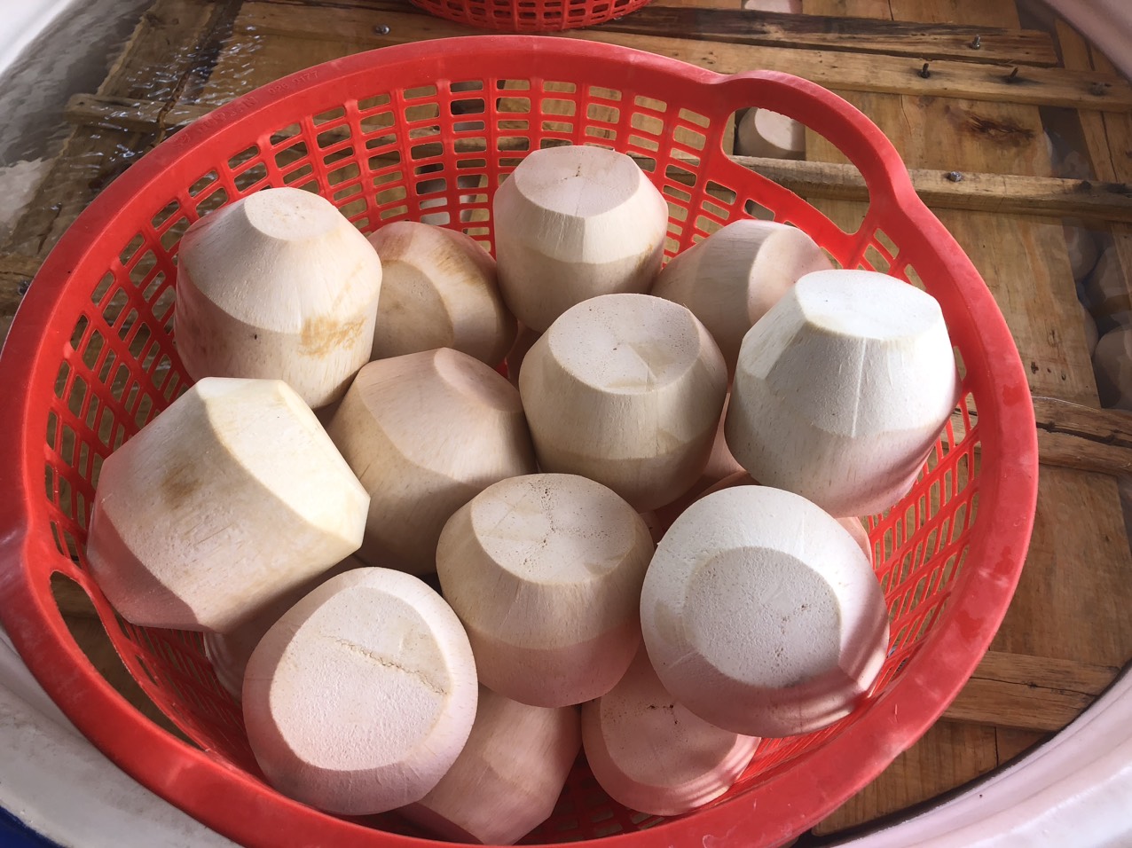 Dừa xiêm tươi