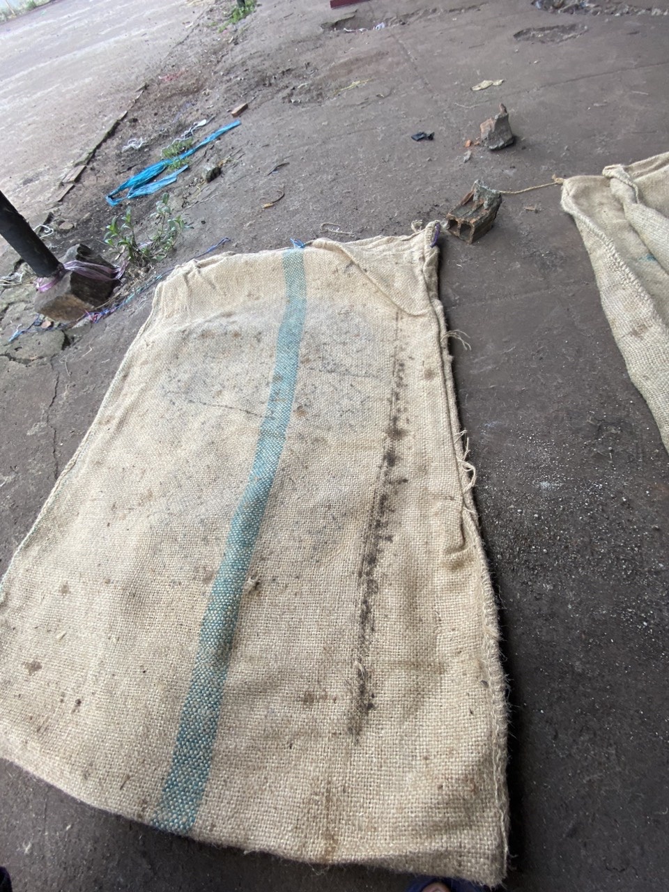 Green Stripe Jute Bags