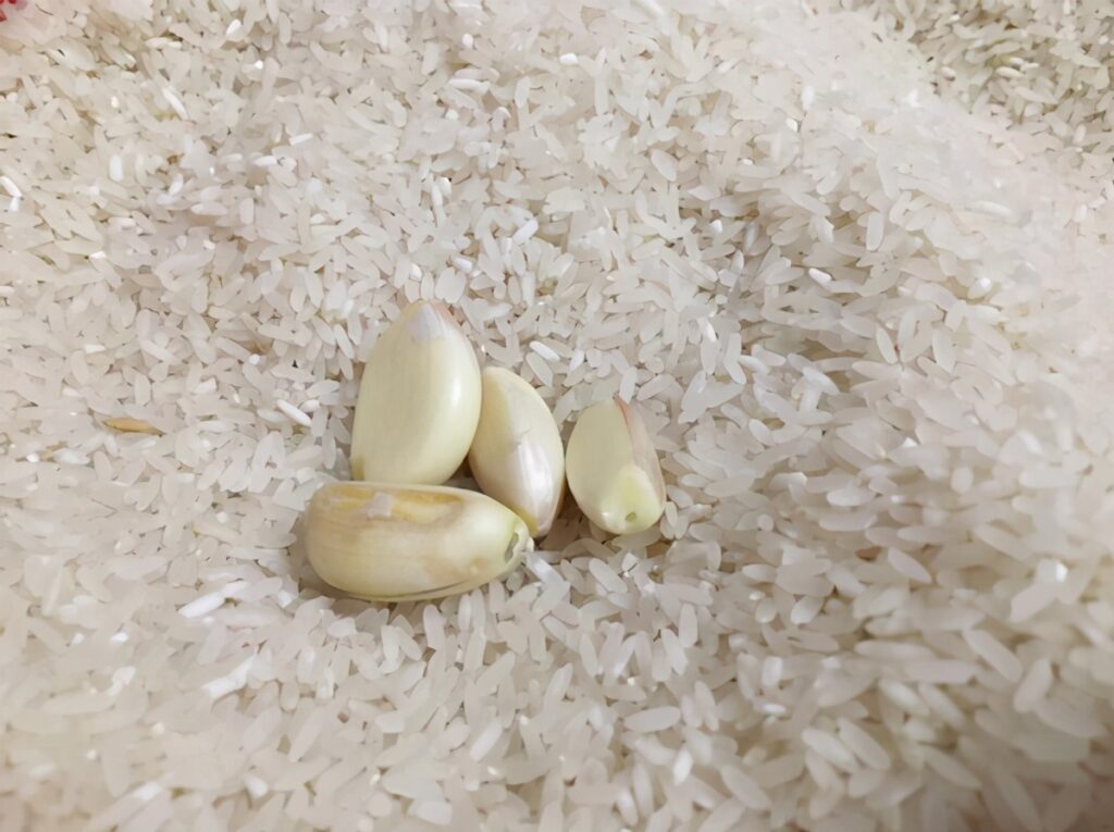 Bảo Quản Gạo