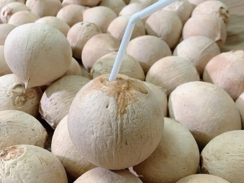 Dừa Xiêm Gọt Trọc