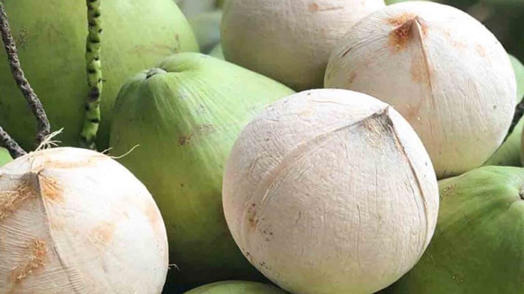 Dừa Xiêm Gọt Trọc