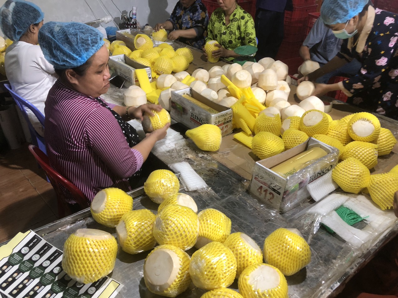 Fresh Coconuts